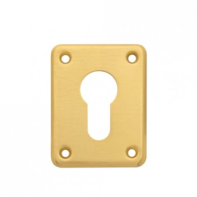 ***Накладка декоративная DP-C-01-G 