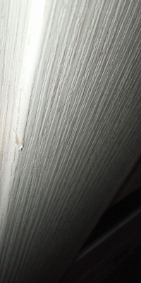 ДО 70 Прага кипарис белый, покрытие Экошпон (ALBERO) лот 19394712